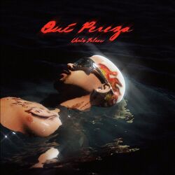 Cover of Qué Pereza