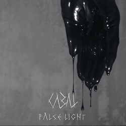Cover of False Light