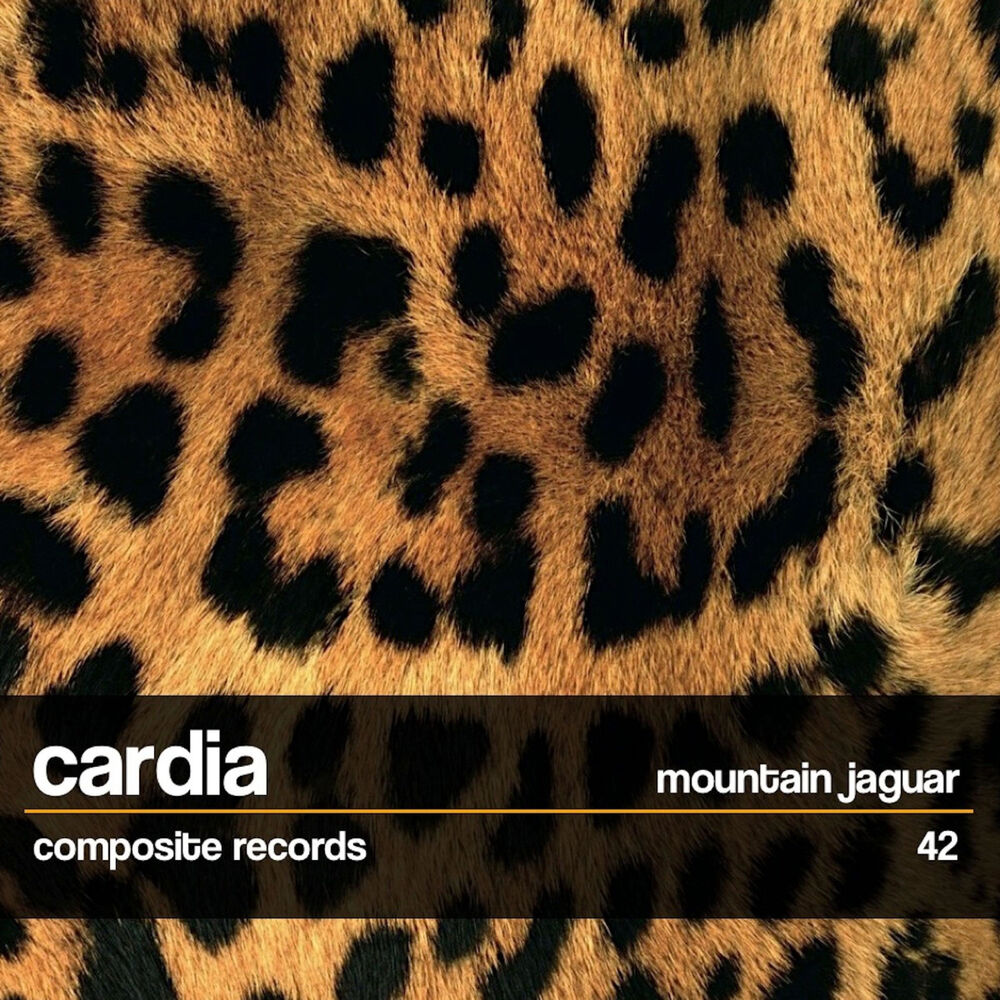 Picture of Mountain Jaguar