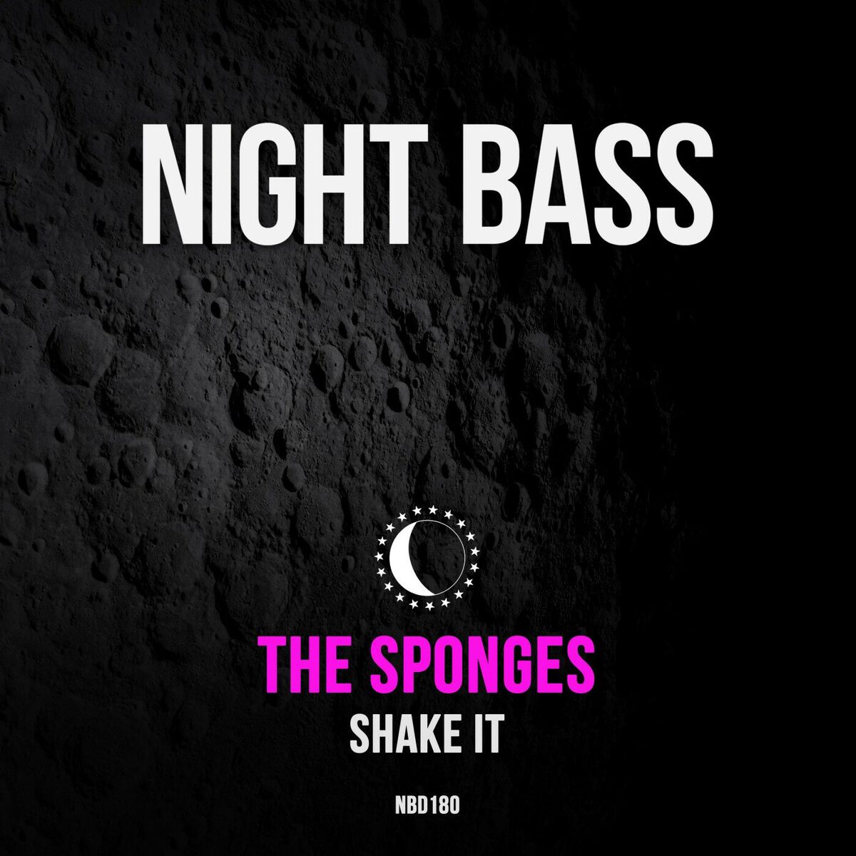 Album cover of Shake It