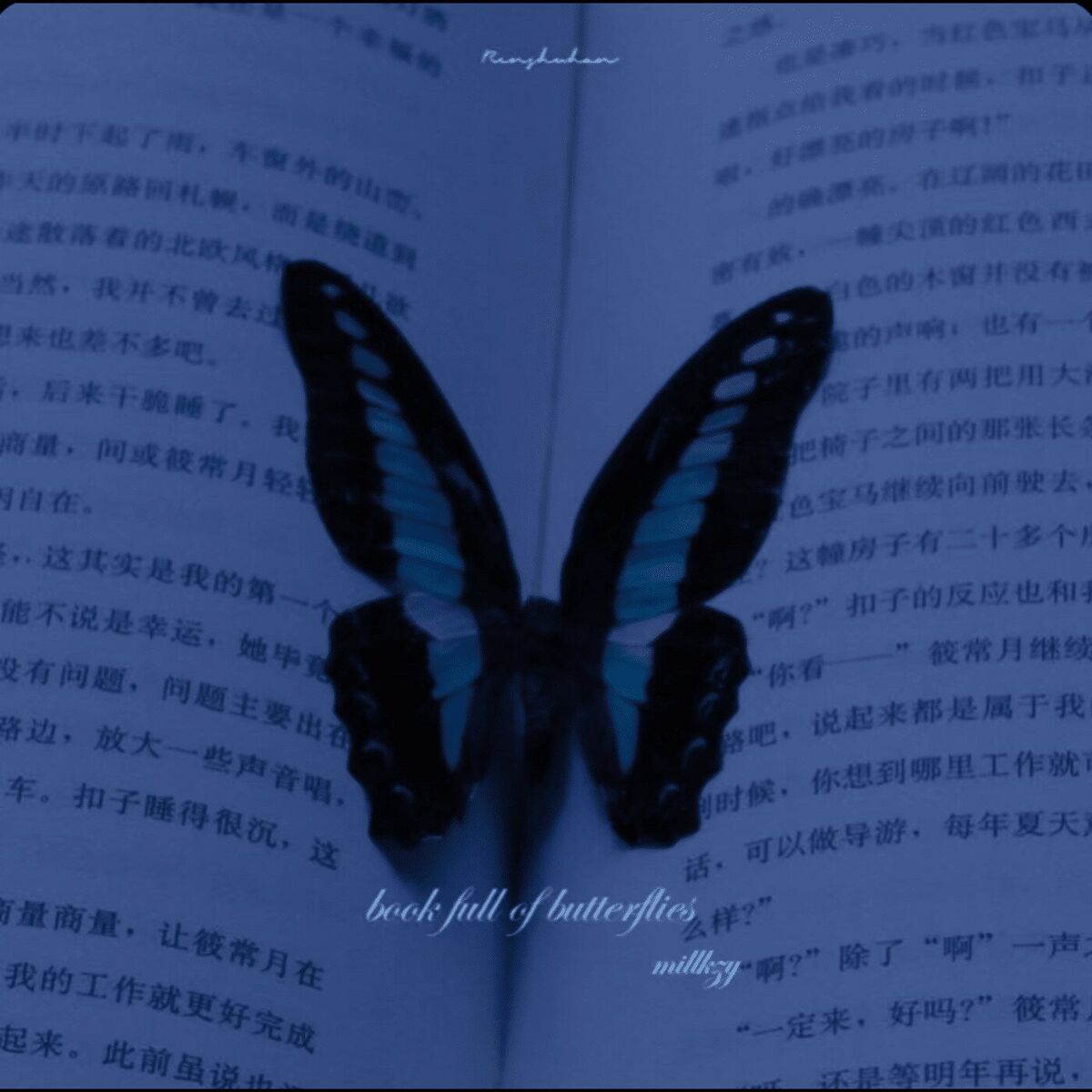 Album cover of book full of butterflies