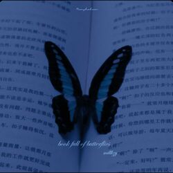 Cover of book full of butterflies