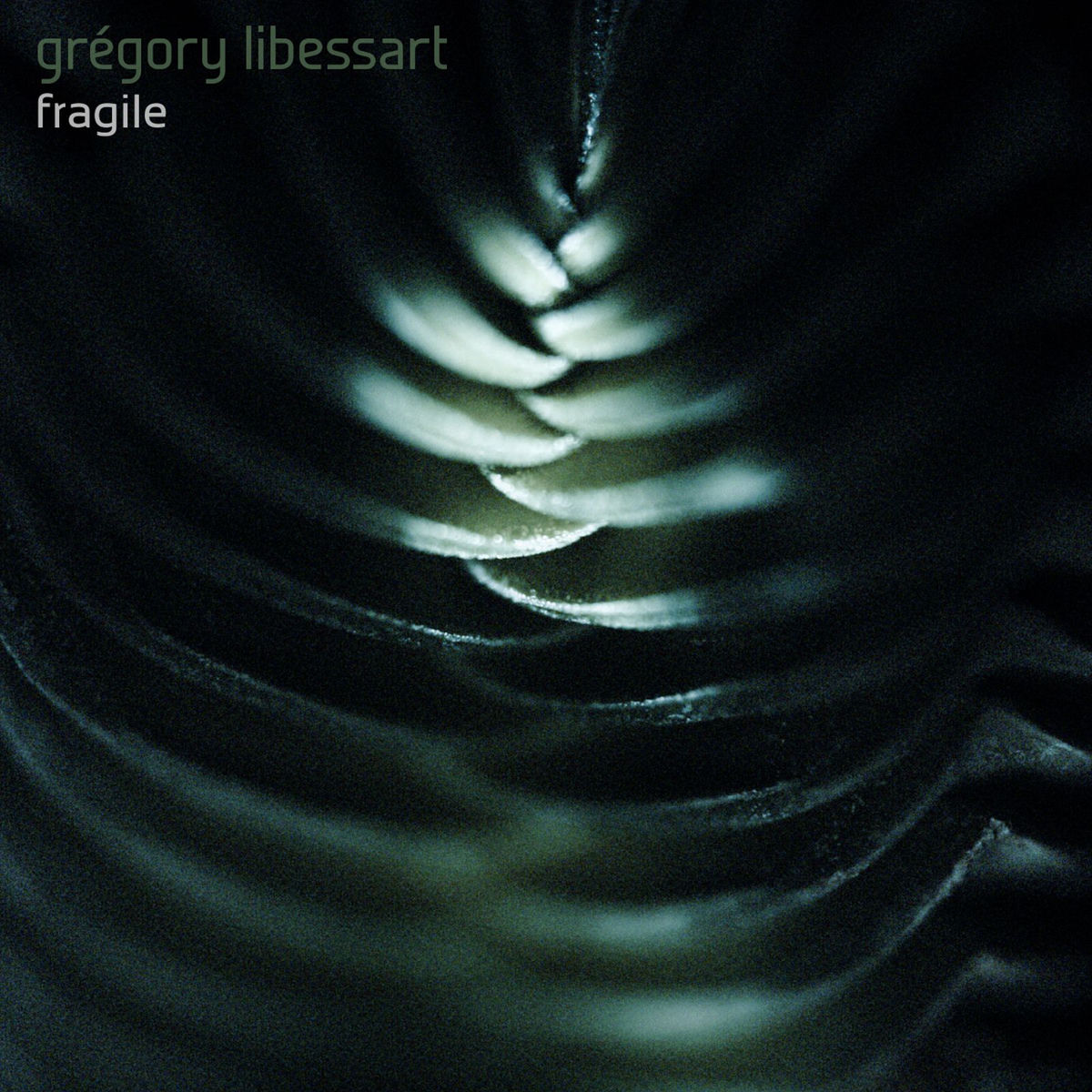 Album cover of Fragile
