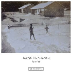 Cover of Icicles
