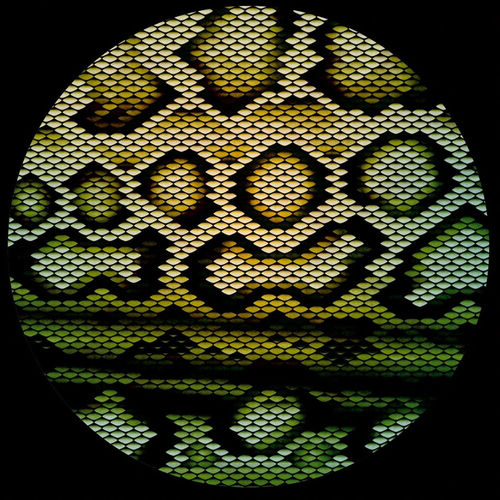 Boomslang / Zharp