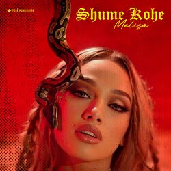 Cover of Shume Kohe