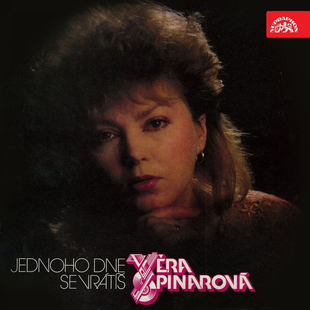 Picture of Jednoho Dne Se Vrátíš (Bonus Track Version)