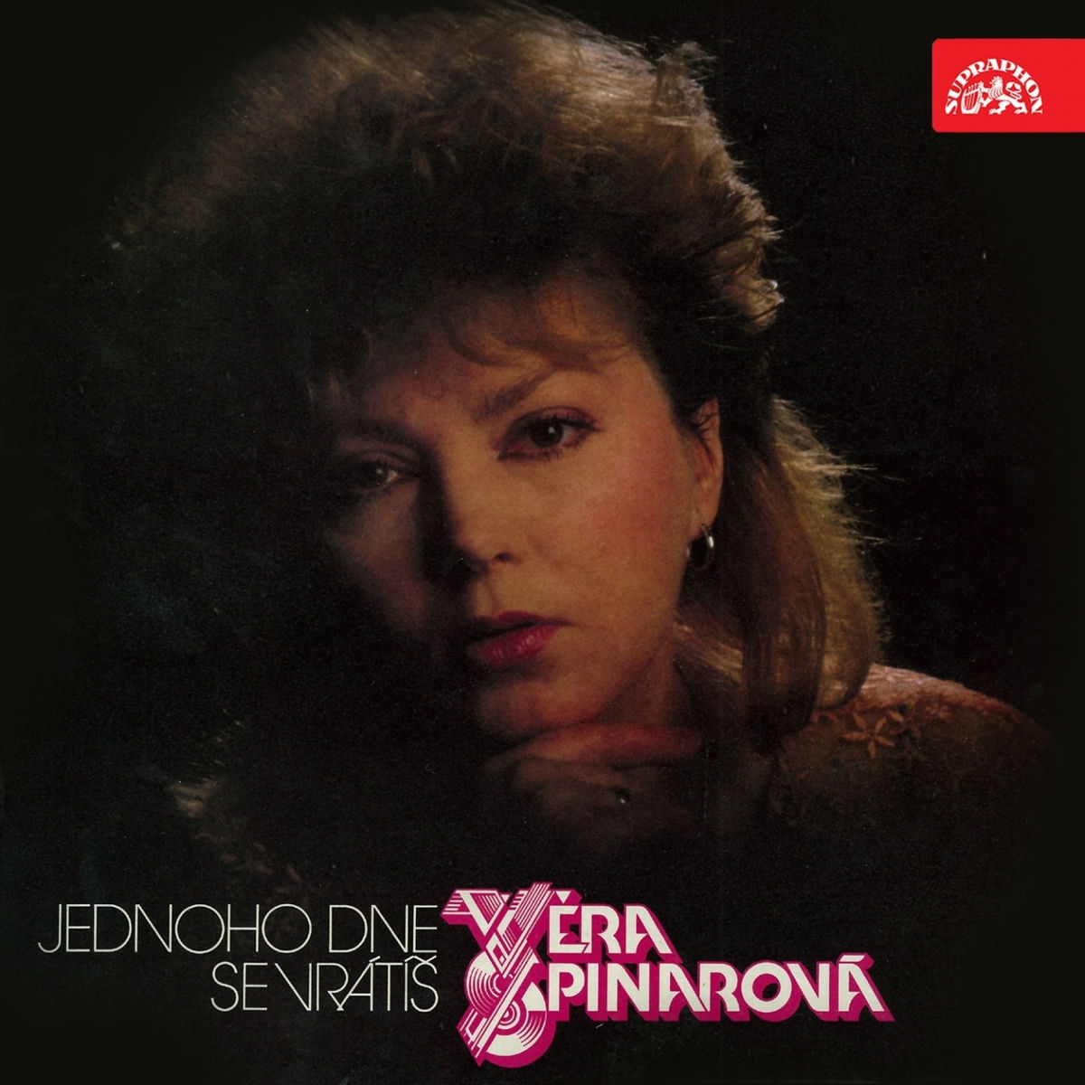 Album cover of Jednoho Dne Se Vrátíš (Bonus Track Version)