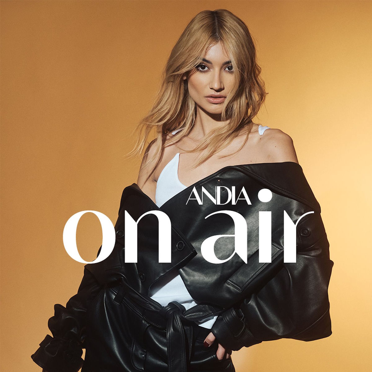 Album cover of On Air
