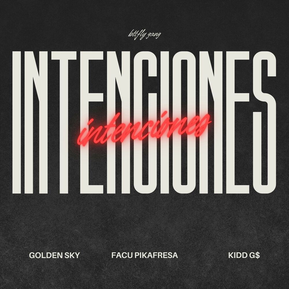 Picture of INTENCIONES