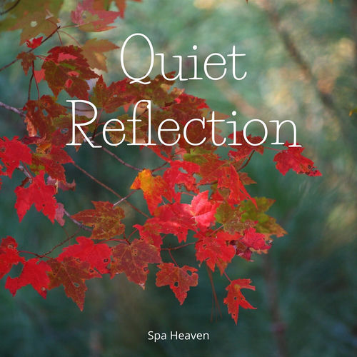 Quiet Reflection
