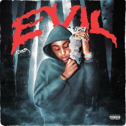 Cover of Evil