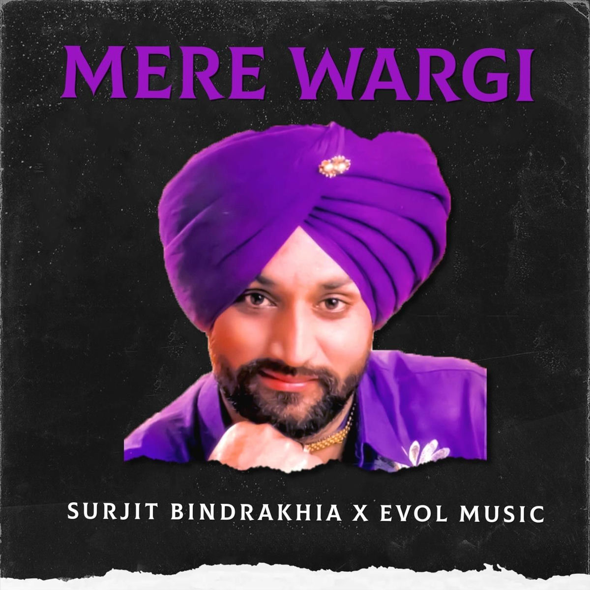 Album cover of Mere Wargi