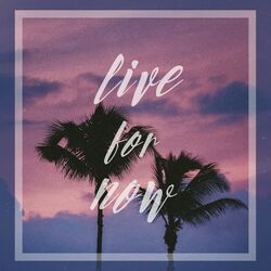 Cover of Live for Now