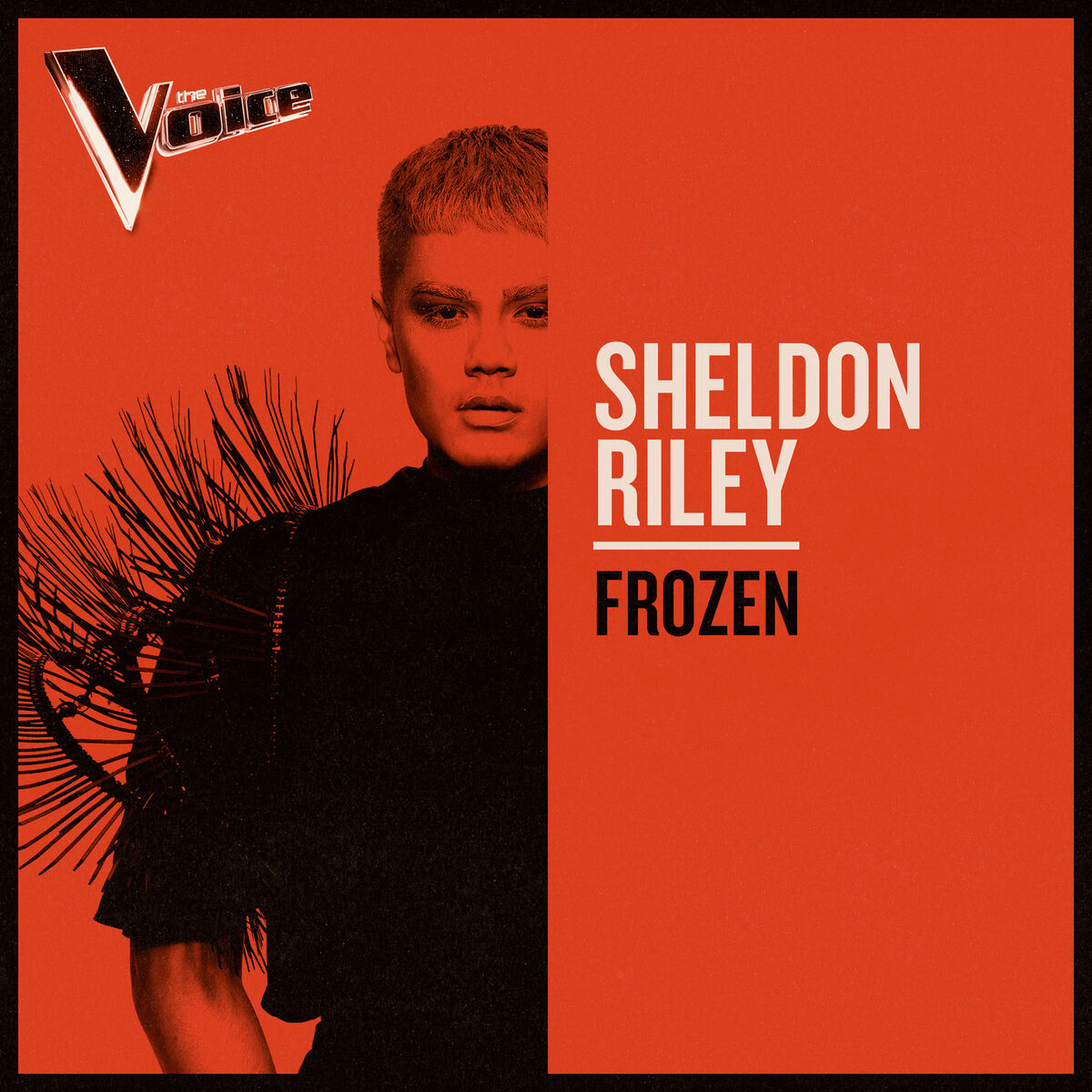 Album cover of Frozen