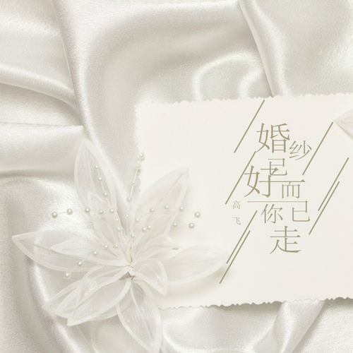 婚纱已好而你已走