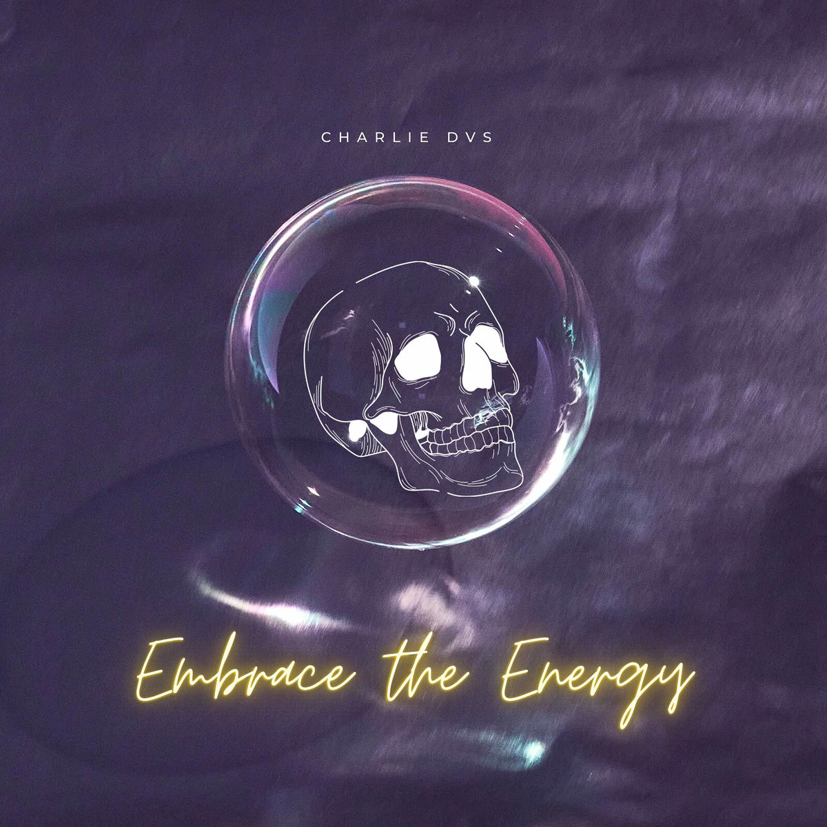 Album cover of Embrace the Energy
