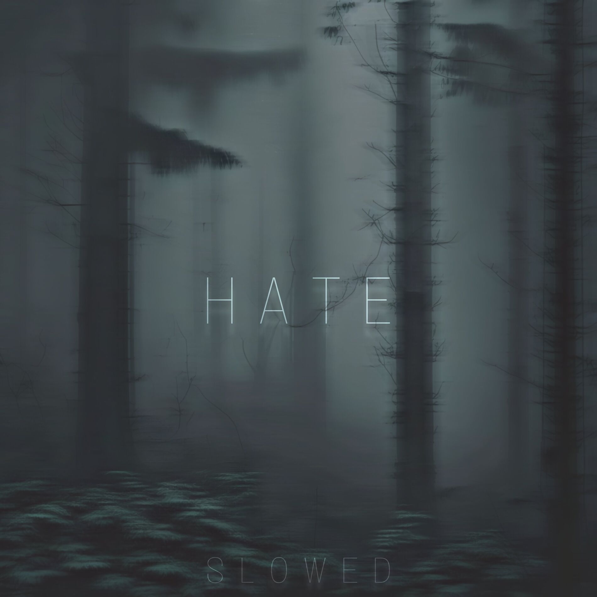 Album cover of Hate (Slowed)