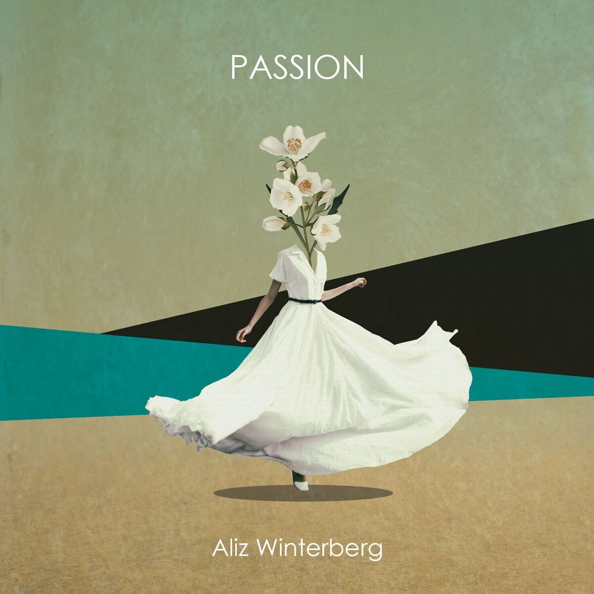 Album cover of Passion