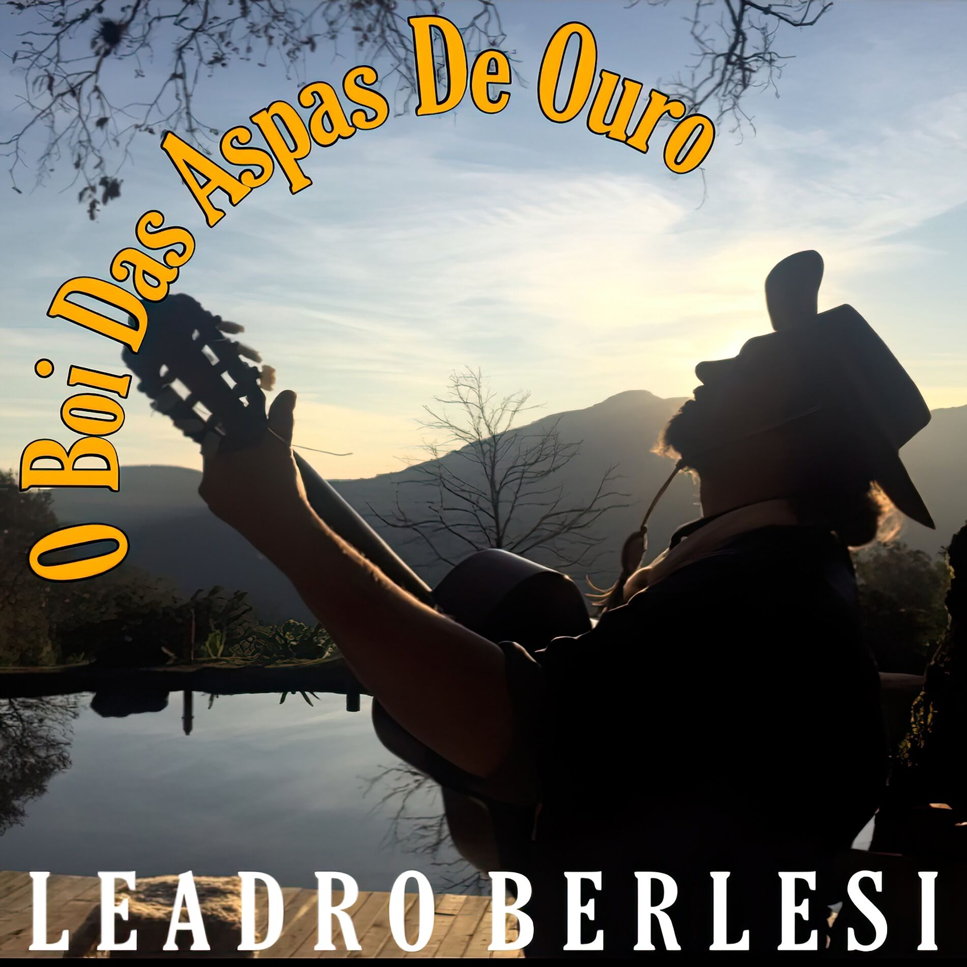 Album cover of O Boi Das Aspas De Ouro