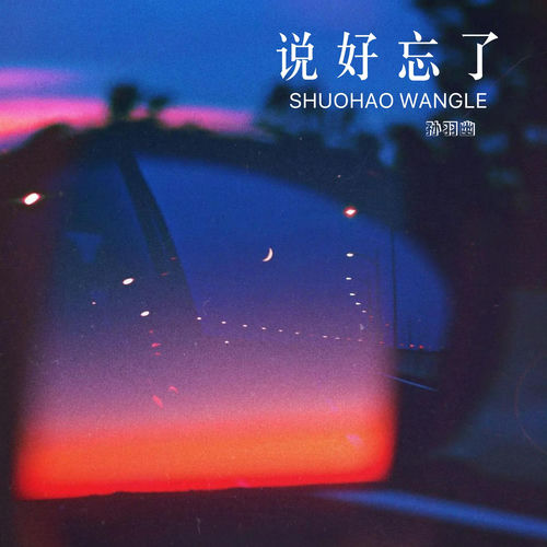 说好忘了