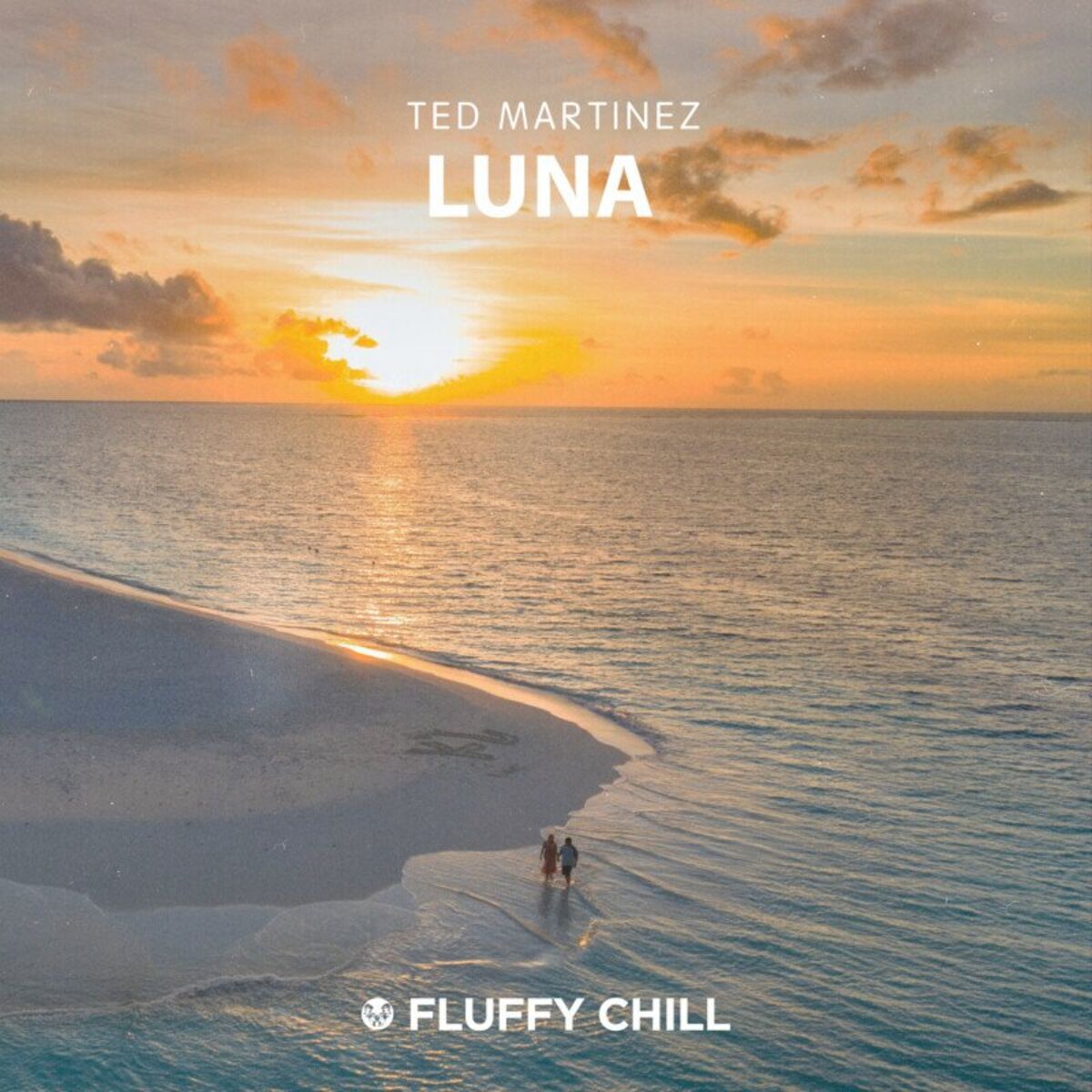 Album cover of Luna