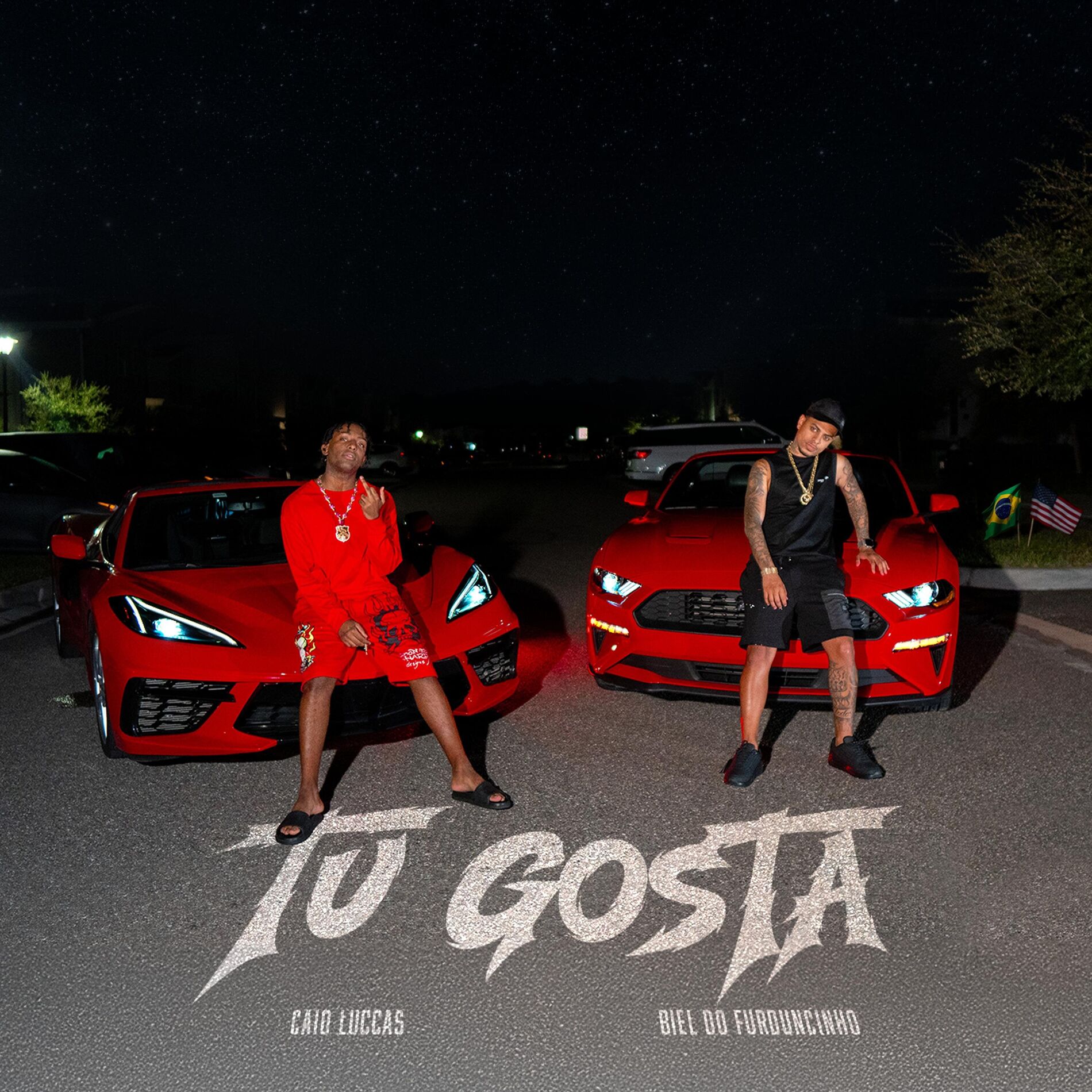 Album cover of Tu Gosta