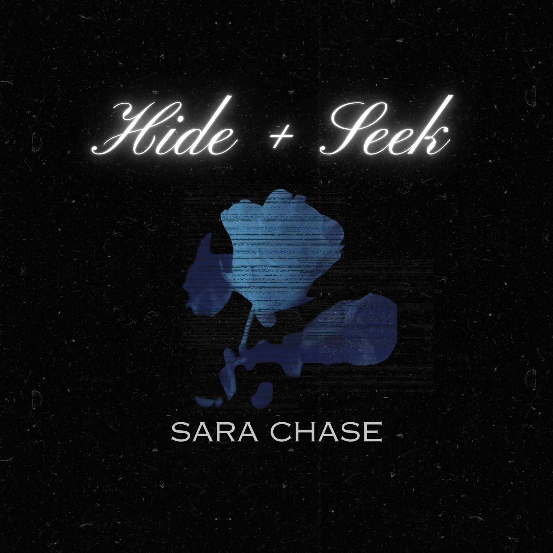 Album cover of Hide + Seek