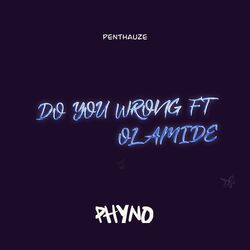 Cover of Do You Wrong