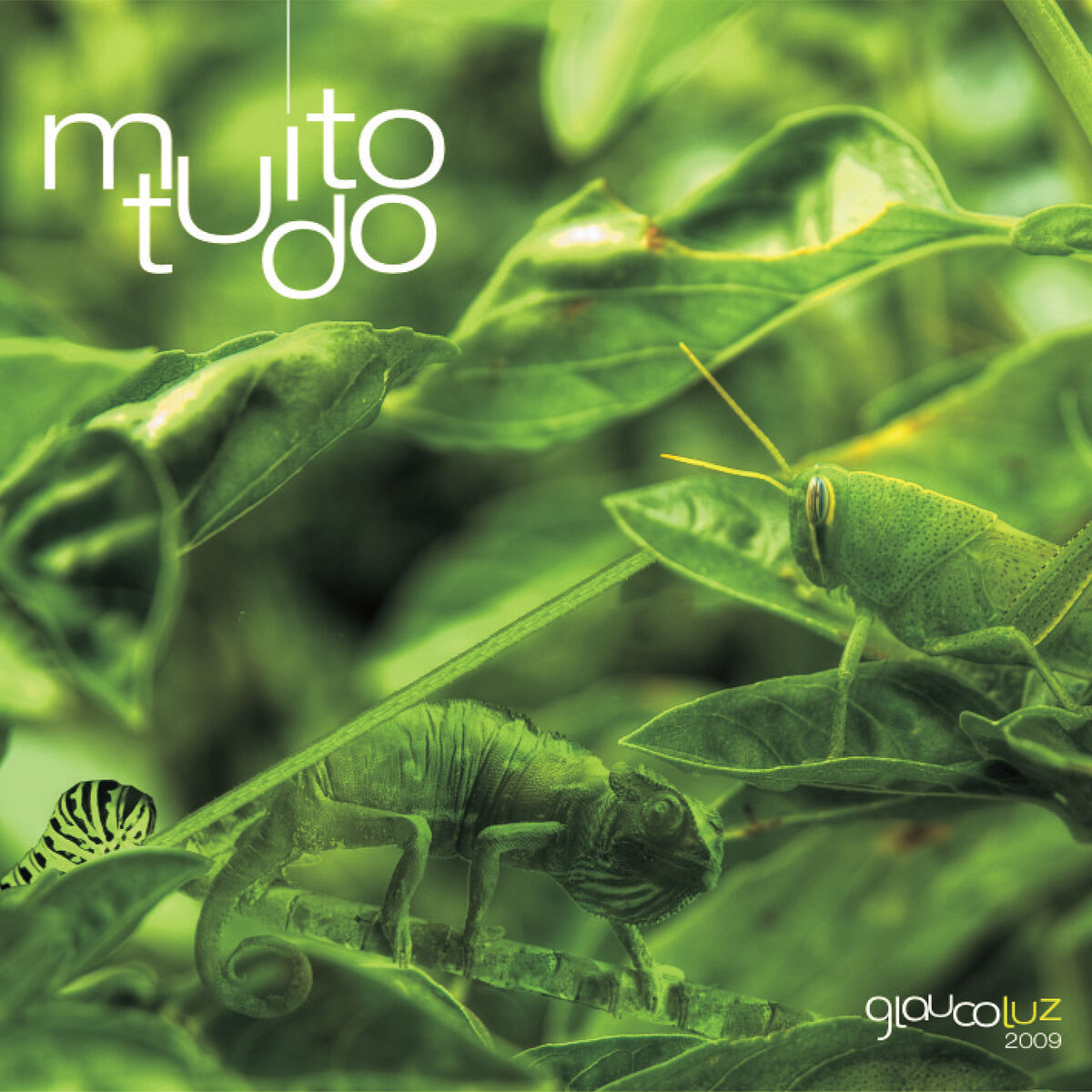Album cover of Muito Tudo