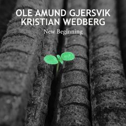Cover of New Beginning