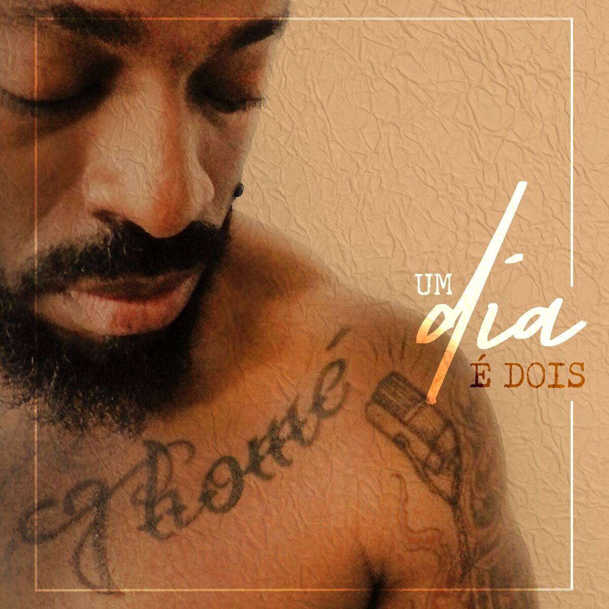 Album cover of Um Dia É Dois