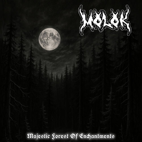 Majestic Forest Of Enchantments