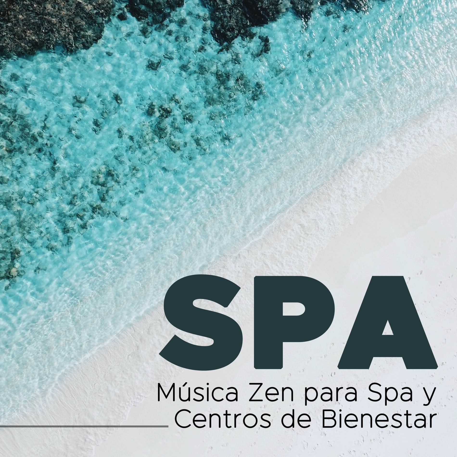 Album cover of Spa - Musica Zen para Spa y Centros de Bienestar