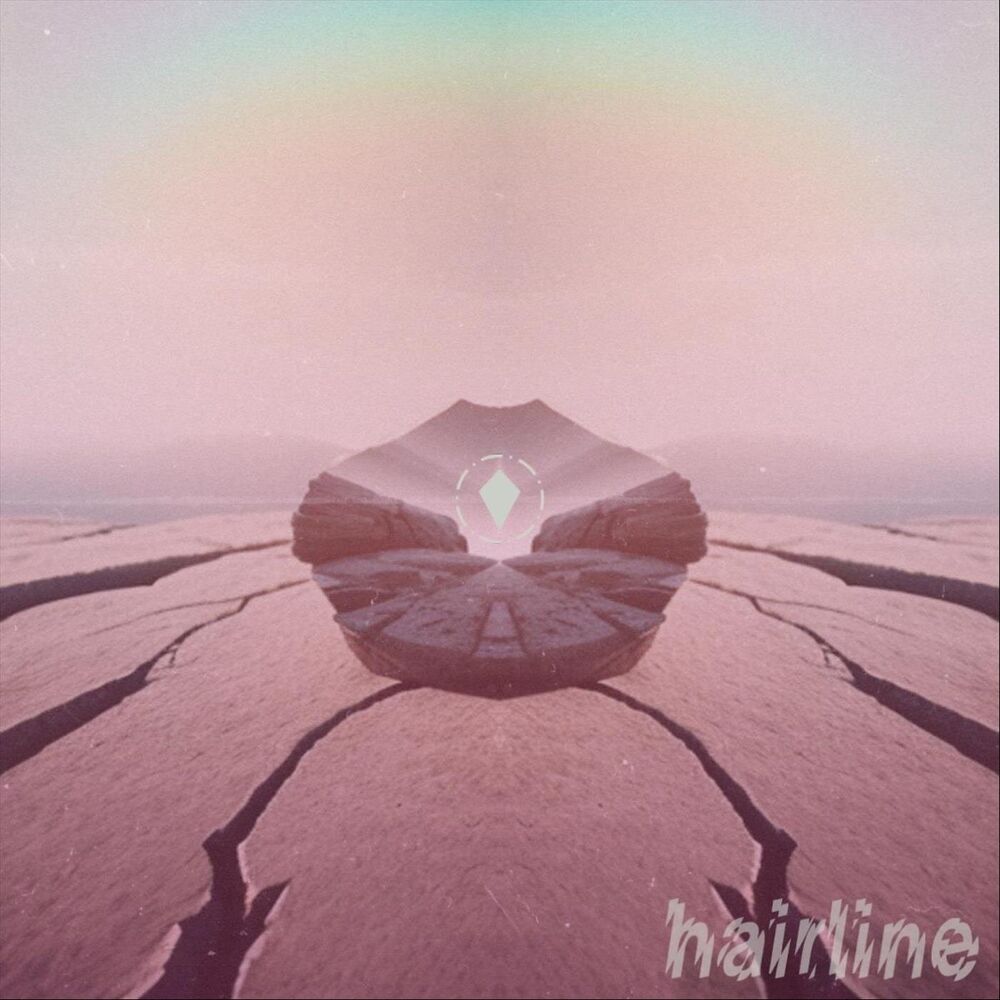 Picture of hairline