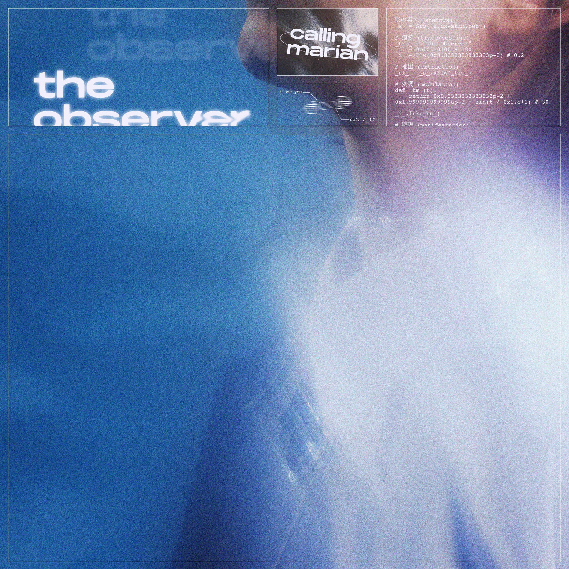 Album cover of The Observer