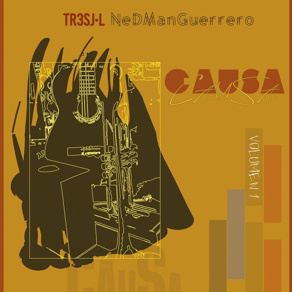 Picture of Causa, Volumen 1