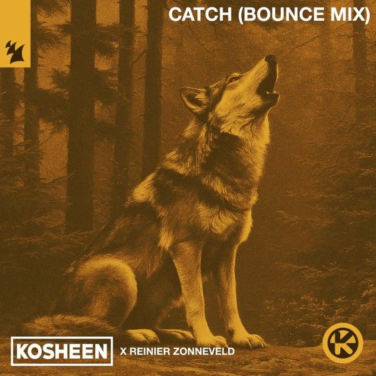 Album cover of Catch (Bounce Mix)
