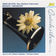 Rossini: Introduction, Theme & Variations in B-Flat Major for Clarinet and Orchestra by Gioachino Rossini album cover