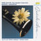Rossini: Introduction, Theme & Variations in B-Flat Major for Clarinet and Orchestra by Gioachino Rossini album cover