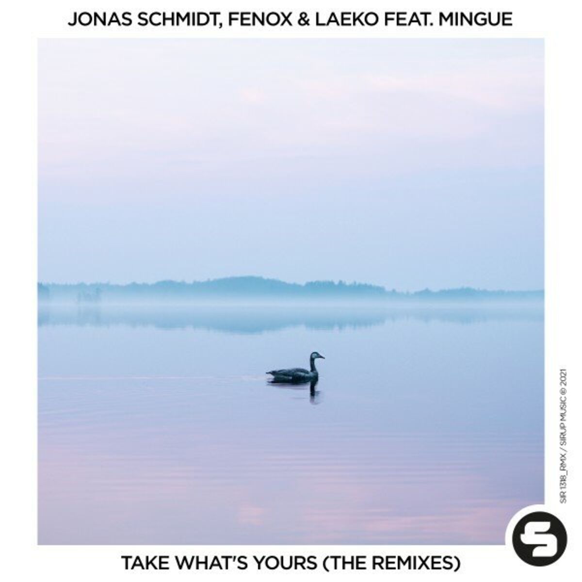 Album cover of Take What's Yours (The Remixes)