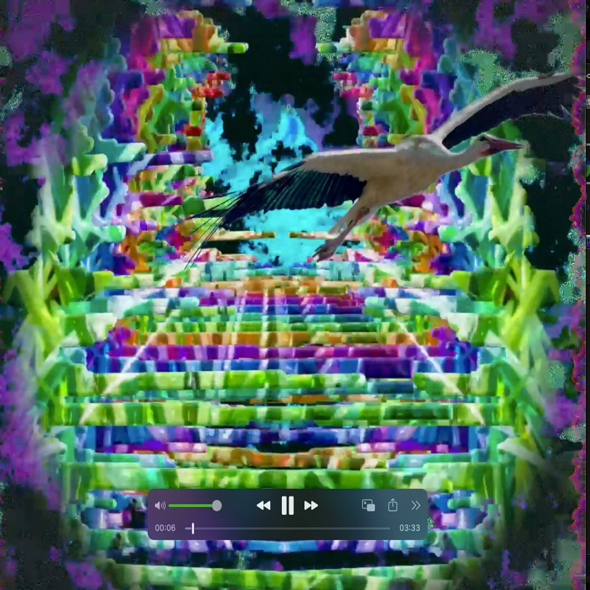 Album cover of aquachirp volume 0.1