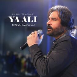 Cover of Dil Hai Tera Ghar Ya Ali