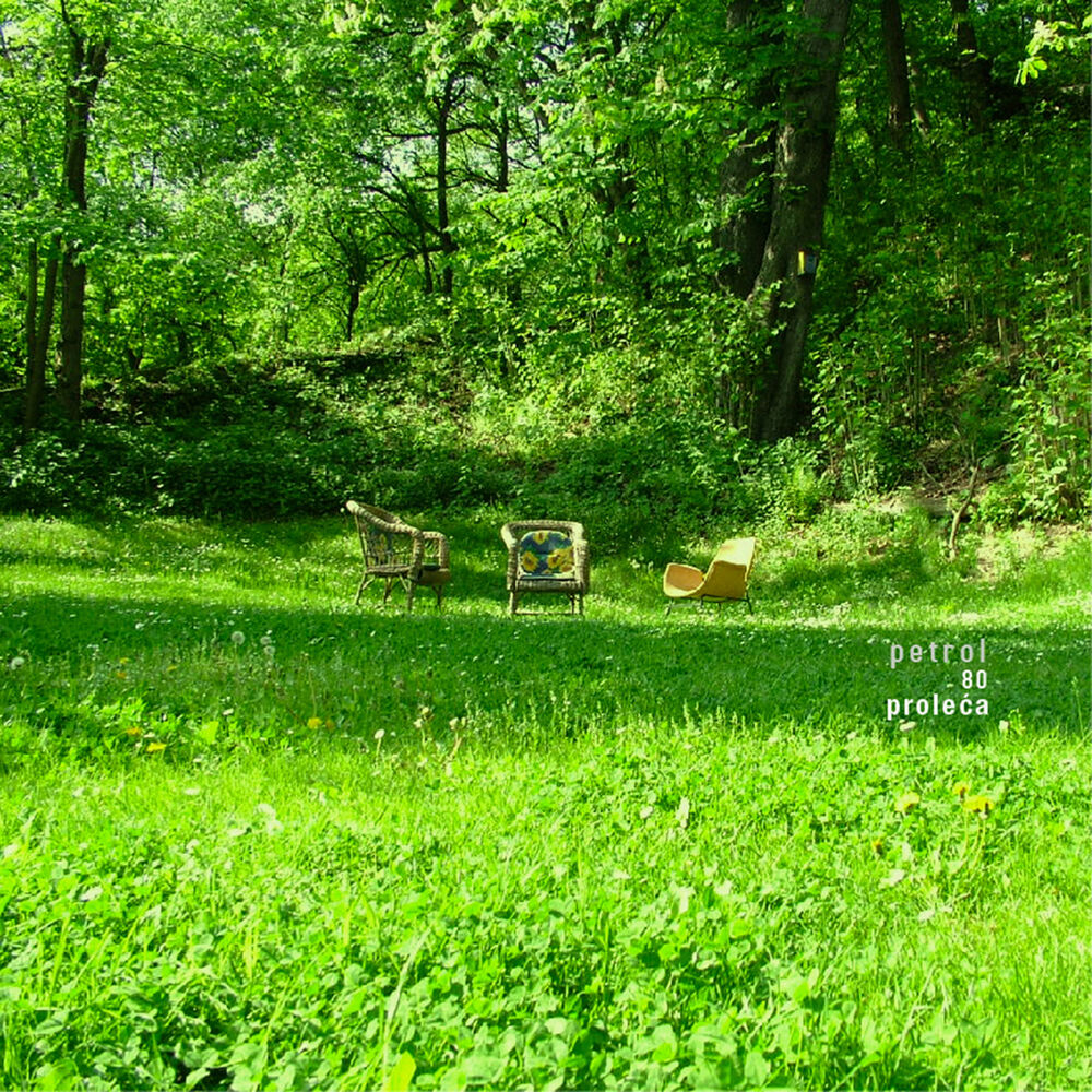 Picture of 80 proleca