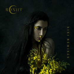 Cover of Xixi Remixes