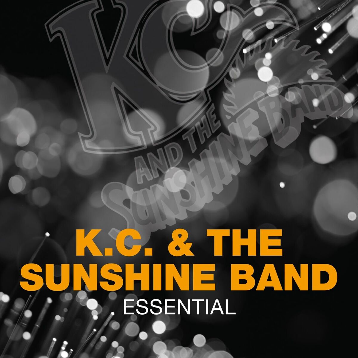Album cover of Essential