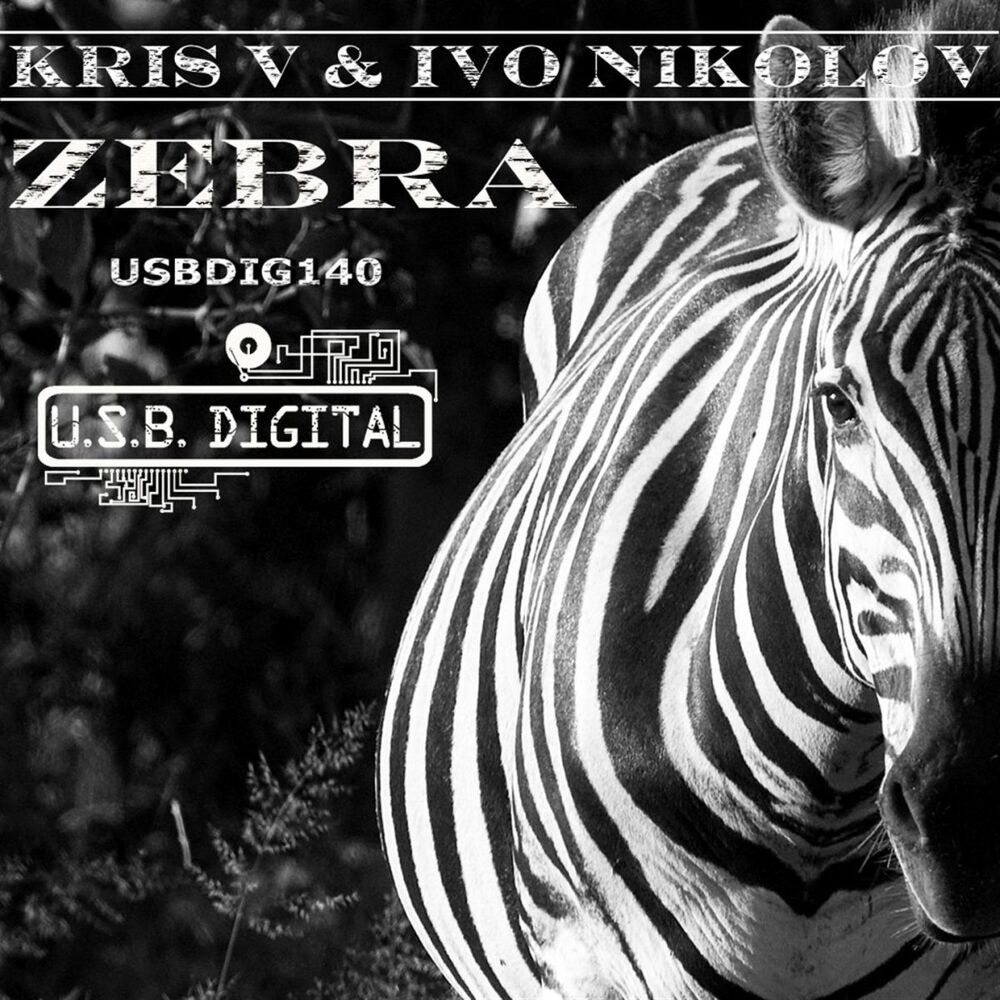 Picture of Zebra