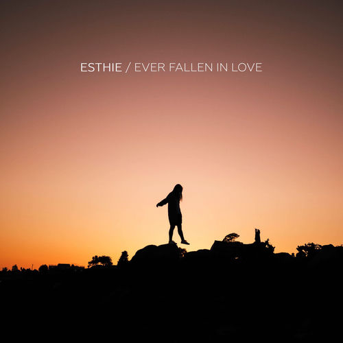 Ever Fallen in Love artwork