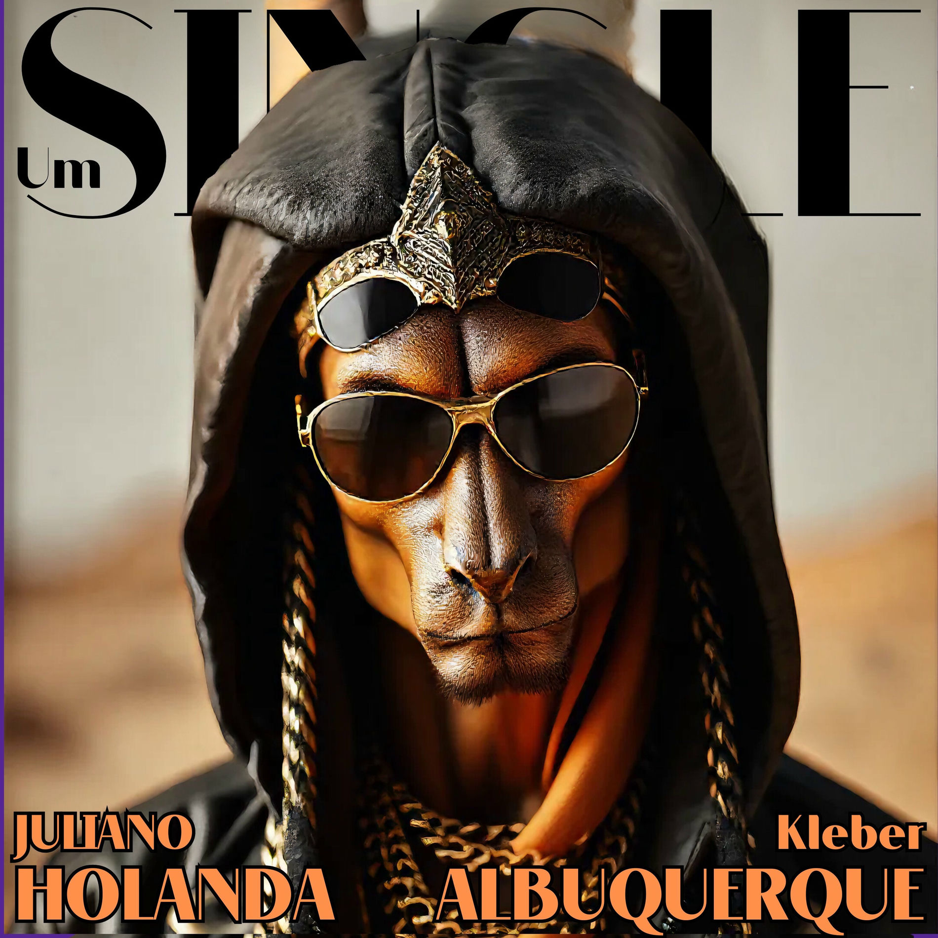 Album cover of Um single