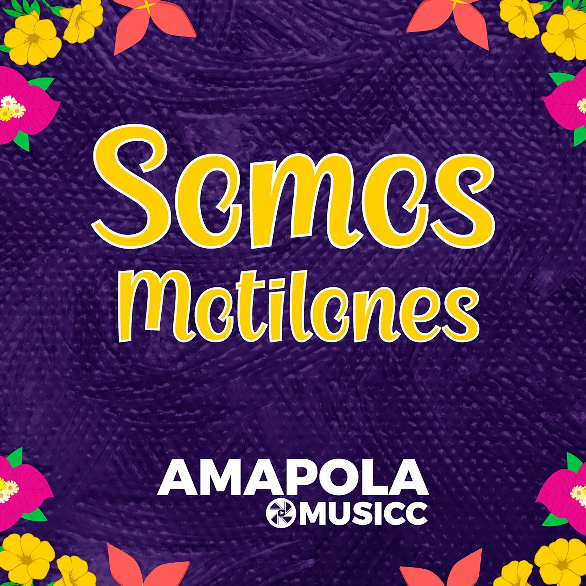 Album cover of Somos Motilones